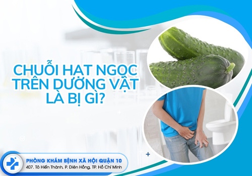 Chuỗi hạt ngọc trên thân dương vật là bị gì?